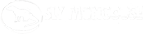 sly mongoose web design solutions